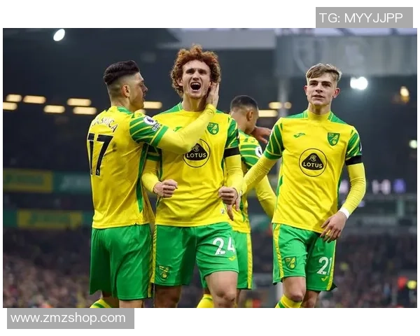 诺维奇足球明星阵容全解析及其在英超的表现与成就